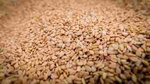8-10% Moisture Natural Brown Sesame Seeds