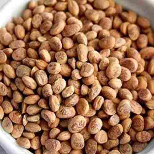Healthy Natural Taste Chiraunji Seeds