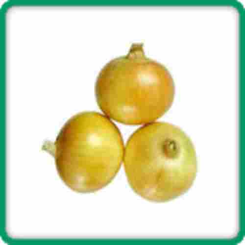 Round Fresh Size 40 mm to 80 mm Organic Yellow Onion