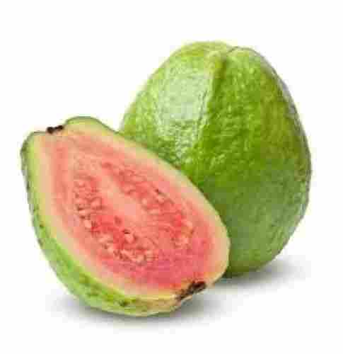 Moisture 90 % Organic Sweet Taiwan Pink Guava