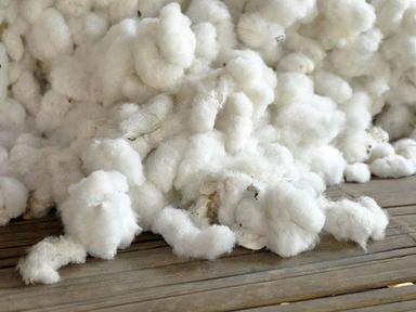 Raw 100% Pure Cotton