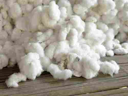 Raw 100% Pure Cotton