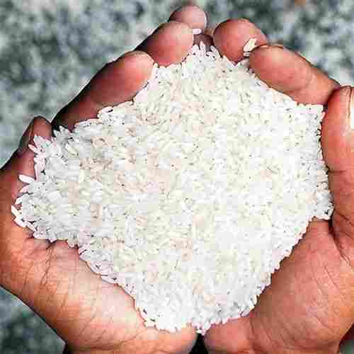 Medium-Grain Fully Polished Rice
