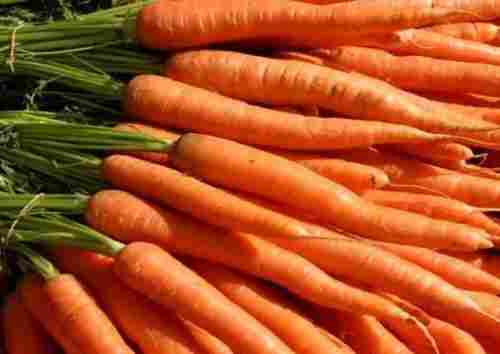Organic Fresh A Grade Red Carrot