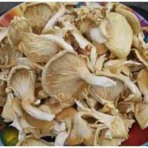 A Grade Premium Organic Dry Mushroom