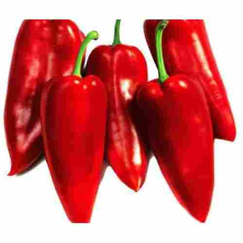 A Grade Vegetable Red Chilli