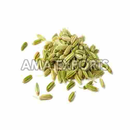 Sun Drying Healthy and Natural Green Fennel Seeds