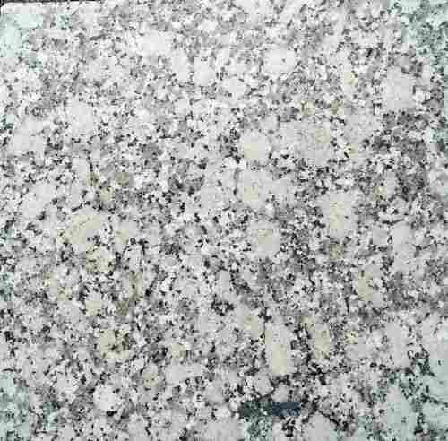 Perfect Finish Rectangular Polished Flooring Platinum White Granite