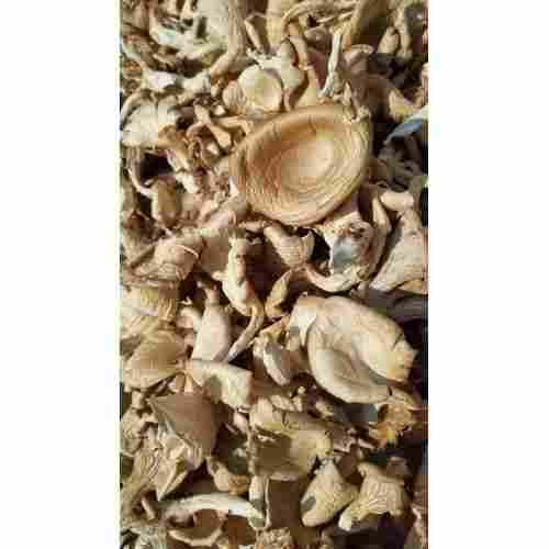 High Nutritional Value Dried Mushroom