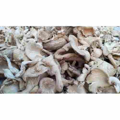 Premium Organic Dry Mushroom