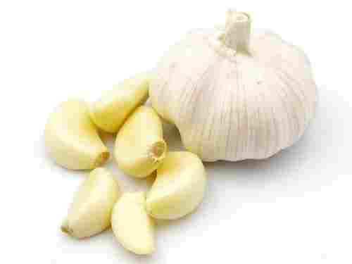 Natural and Healthy Organic White Fresh Garlic