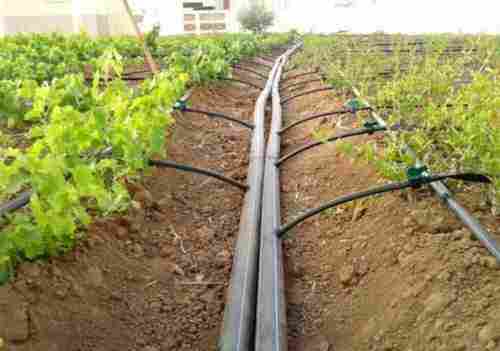 Vegetable Garden Purpose Drip Irrigation System