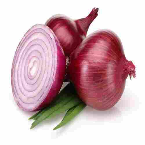 Potassium per 146 mg 4% Carbohydrate per 9 g 3% Natural Organic Fresh Red Onion
