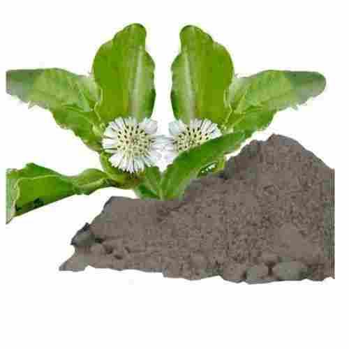 High Quality Herbal And Natural Pure Bhringraj Extract Powder