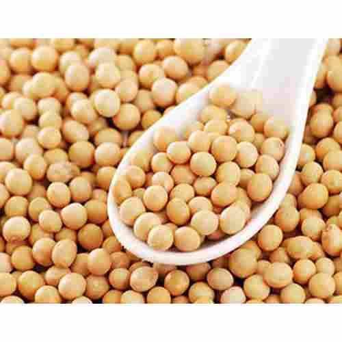 Protein 40% Moisture 13% Fat/Oil Max 1.5% Dried GMO Soybean Seeds