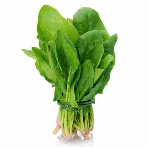 Organic Healthy Green Fresh Spinach Leaves Packed in Plastic Packet