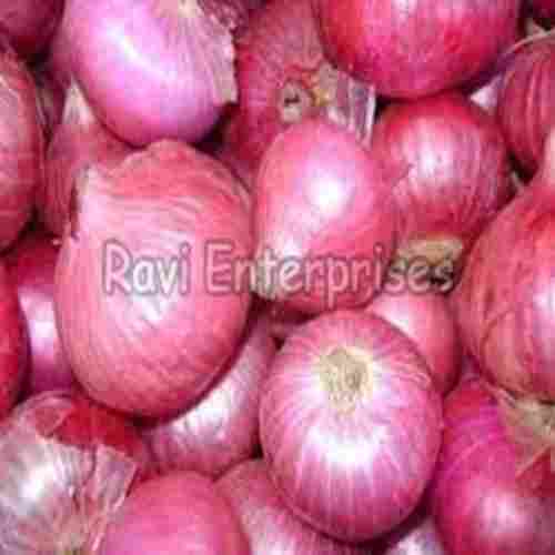 Good Purity Hygienic Natural and Healthy Organic Light Pink Fresh Onion