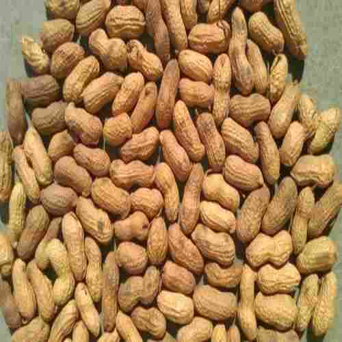 Natural Taste and Healthy Organic Pure Shelled Peanuts with Pack Size 10-15kg