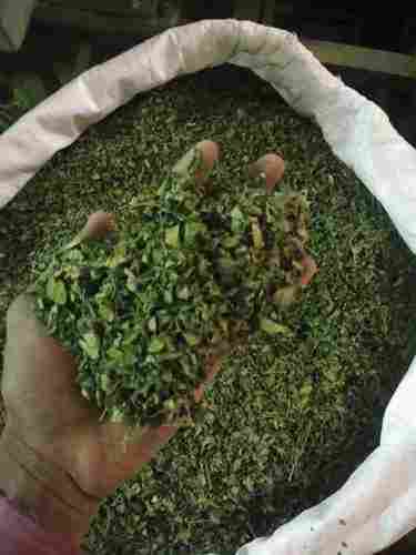 Herbal Grade Dried Moringa Leaves
