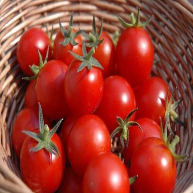 Round & Oval No Artificial Flavour No Preservatives Organic Red Fresh Tomato