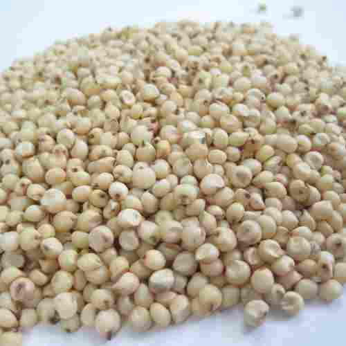 FSSAI Certified Full Of Proteins Natural Healthy Organic Sorghum Seeds