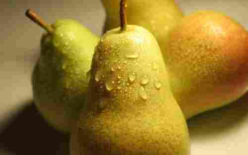 Maturity 95% Healthy and Natural Organic Fresh Pears