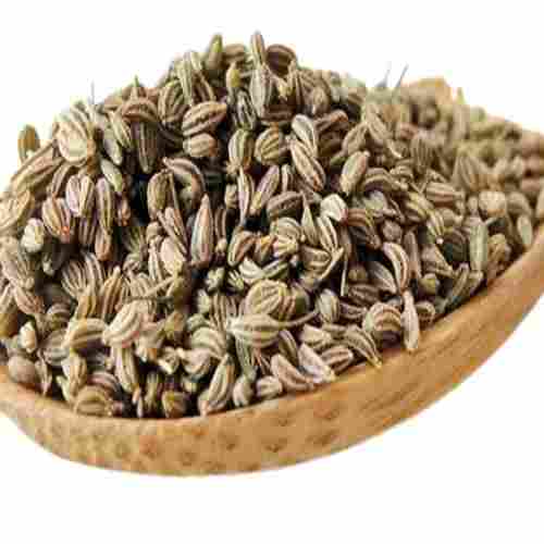 Specially Sorted Pure Clean Multi Purpose Indian Organic Whole Ajwain Seed