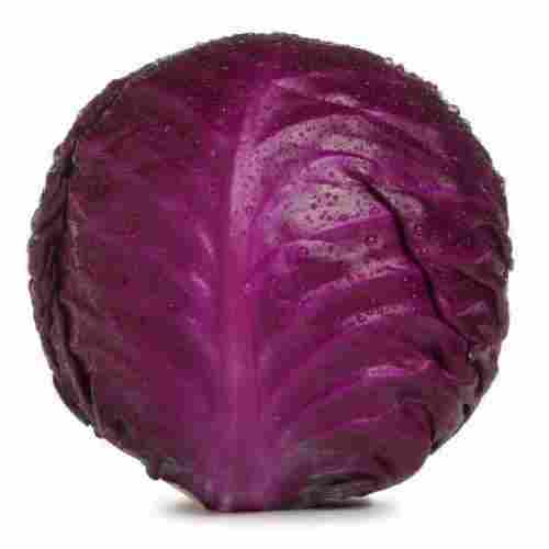 Organic Natural Taste and Healthy Fresh Red Cabbage with Pack Size 10 - 20kg