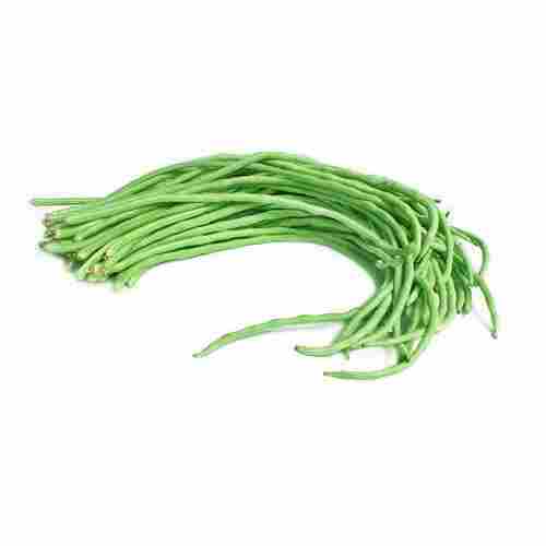 Organic Healthy and Natural Green Fresh Long Beans packed in Jute Bag