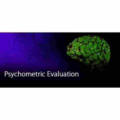 Psychometric Testing Software Development Service