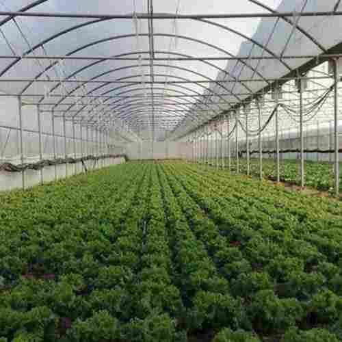 Multicolor Tunnel Poly House For Agriculture