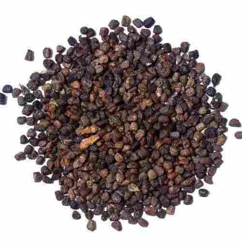 Loaded With Antioxidants And Sorted Quality Diuretic Properties Indian A Grade Big Black Cardamom Seed