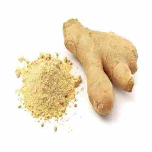 Natural Healthy Organic Creamish Dehydrated Ginger Powder for Cooking
