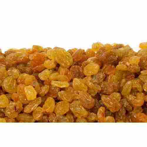 Good Source Of Potassium And Loaded With Nutrients Premium Quality Dry Golden Raisins