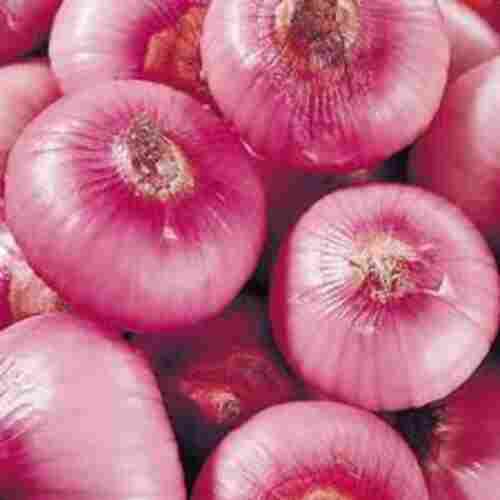Healthy Pure and Natural Taste Fresh Pink Onion