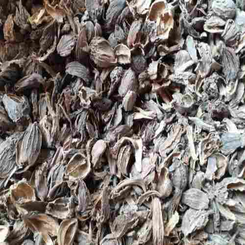 Anti Septic Anti Bacterial Properties Sorted Quality Naturally Processed Indian Pure Black Big Cardamom Husk