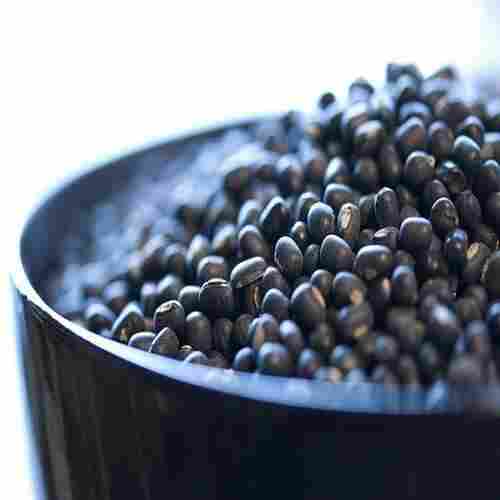 High in Protein Healthy Dried Organic Whole Black Urad Dal
