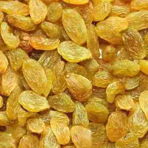 Big Size Naturally Produced And Processed Long Size Sweet Organic Dry Golden Raisins