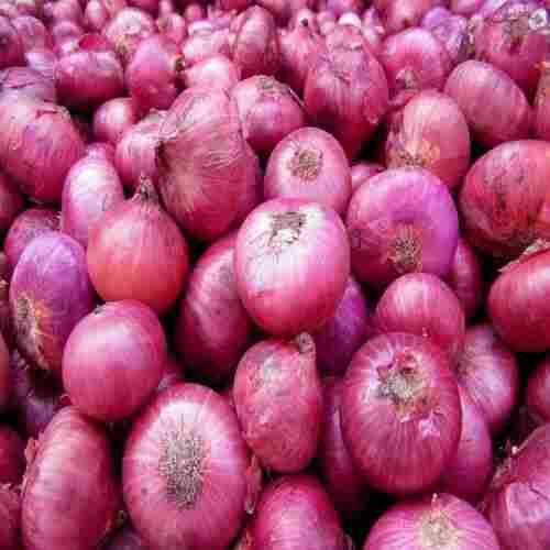 High Quality Natural Taste Healthy Fresh Red Onion