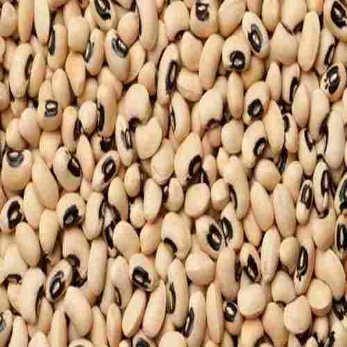 Highly Beneficial Black Eyed Beans