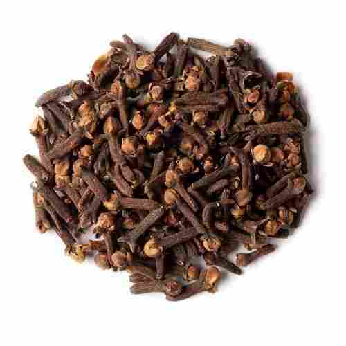 A Grade Quality Indian Long Size Sorted Spicy With Natural Fragrance Purity Proof Whole Dry Clove