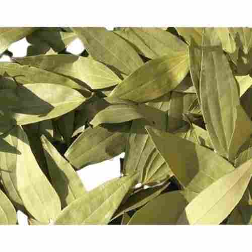 Fragrance Full Sorted Type Long Size Clean A Grade Pure Organic Hand Picked Bay Leaf
