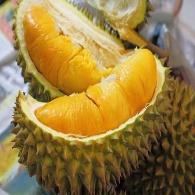 Fresh A Grade Durian Fruits