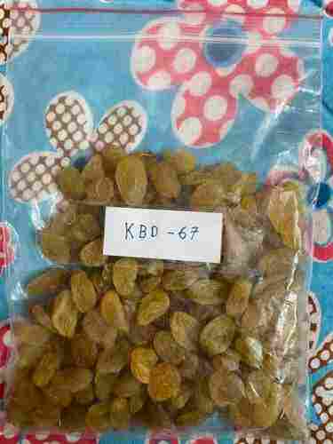kbd 67 Dried Golden Raisins 