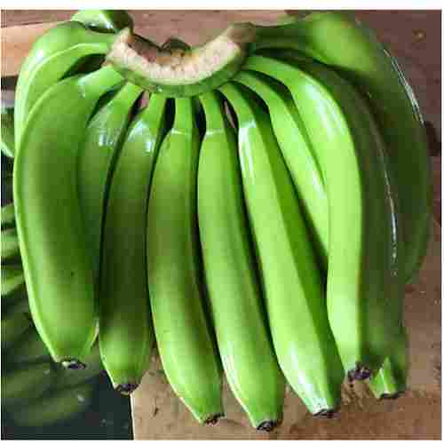 Fresh Cavendish Banana Fruit with Certification GAP, HACCP