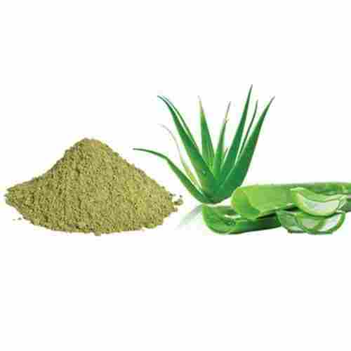 Herbal Indian Aloe Vera Plant Leaf Organic Dry Extract Powder