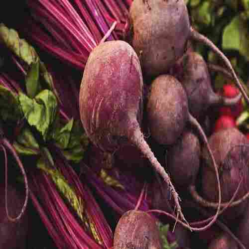 Natural and Good Taste Healthy Red Fresh Beetroot