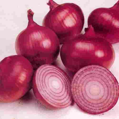 No Preservatives Pesticide Free Healthy Organic Red Fresh Onion