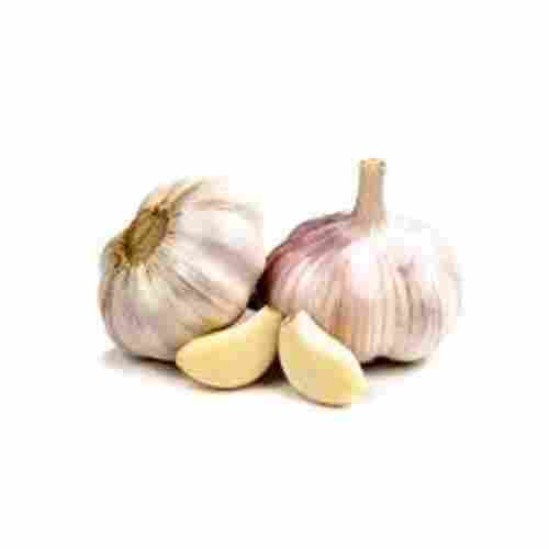 Sizes 4.5-5.0 cm Natural Good Taste Healthy Organic Creamy Fresh Garlic