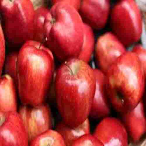 Healthy Natural Sweet Taste Nutritious Organic Red Fresh Apple